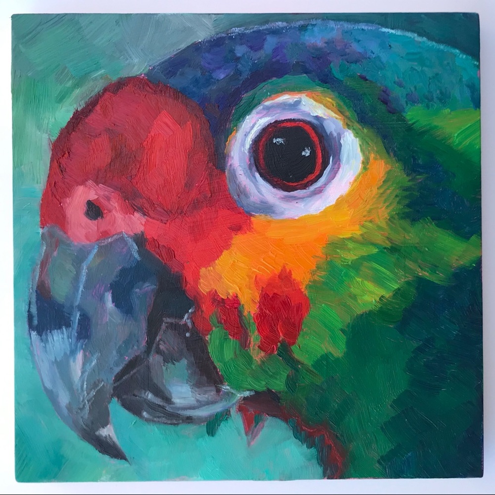 Art print Parrot from Original Painting 5"x5"